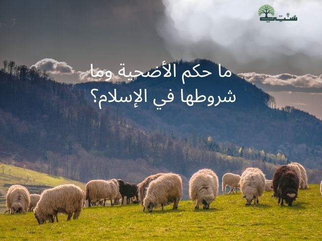 ما حكم الأضحية وما شروطها في الإسلام | حكم الأضحية وأحكامها